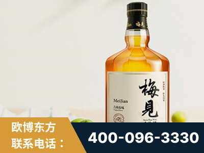 安达-梅见青梅酒